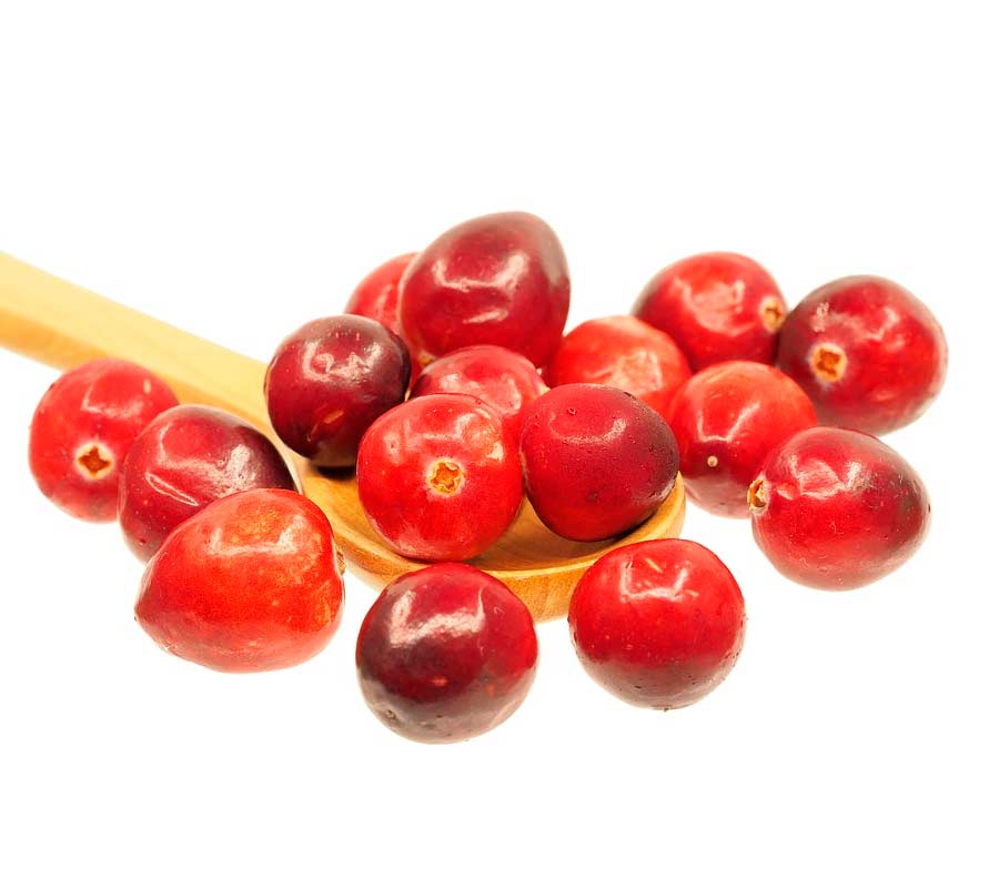 Arándano rojo americano o cranberry